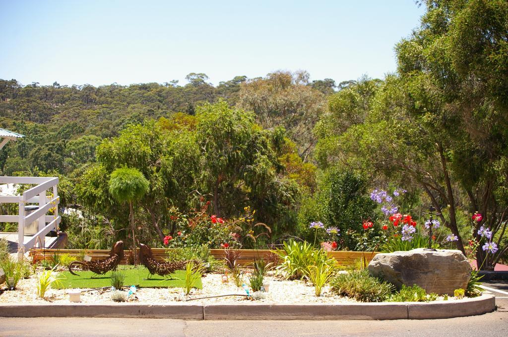 Clare Valley Motel מראה חיצוני תמונה