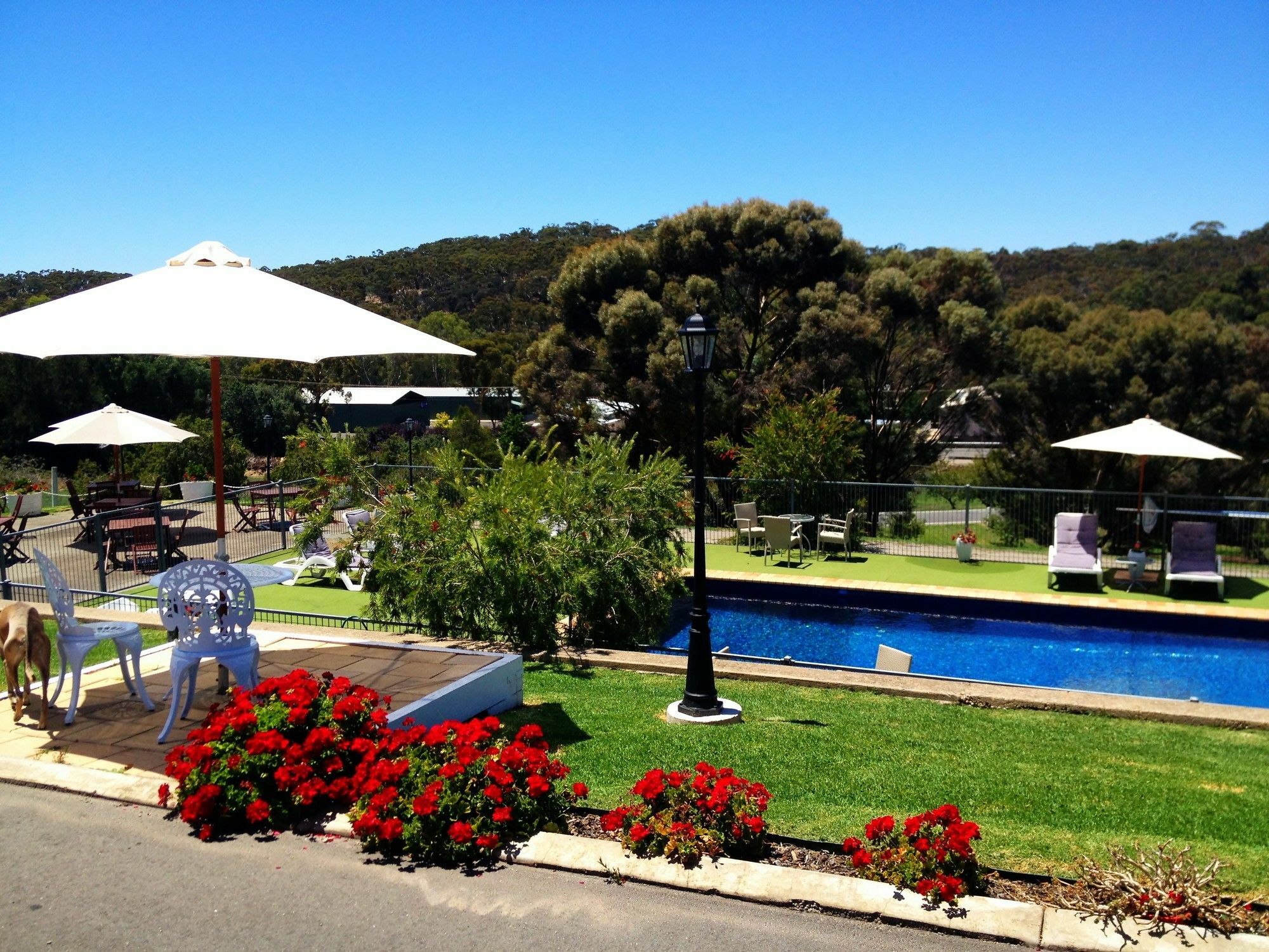 Clare Valley Motel מראה חיצוני תמונה