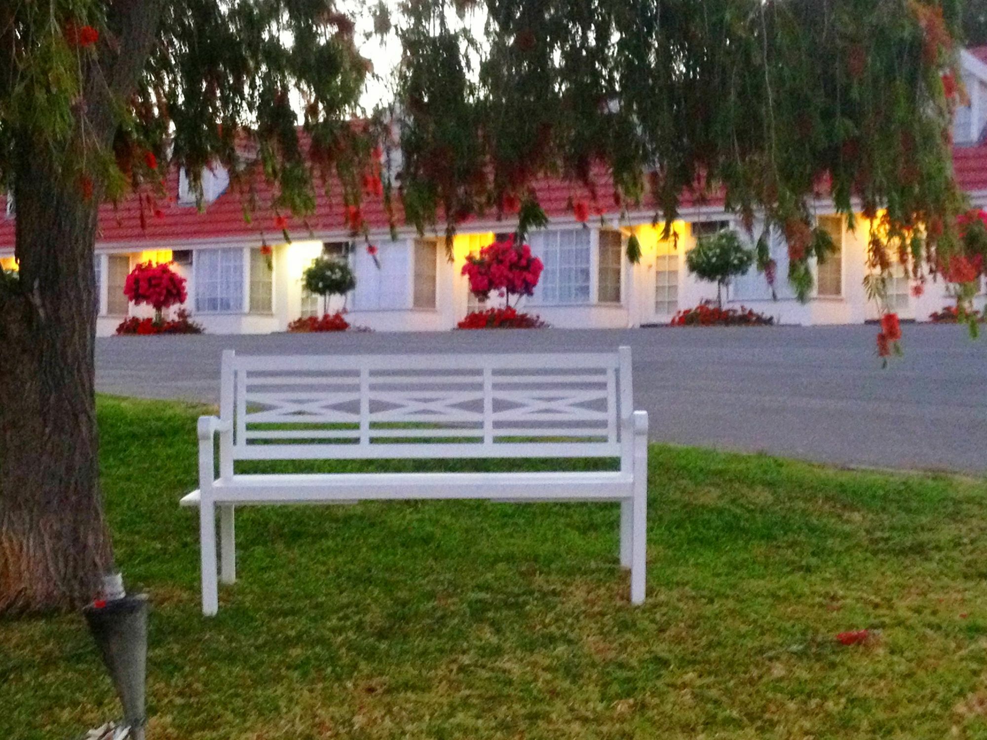 Clare Valley Motel מראה חיצוני תמונה